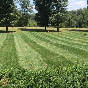 Meet your Posher, Lucas